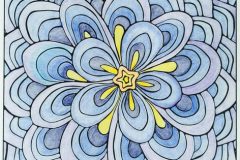Blue-Pansy