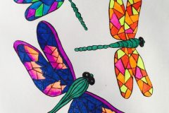 Multicoloured-Dragonflies