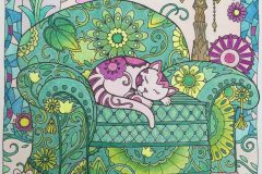 Cat on Sofa