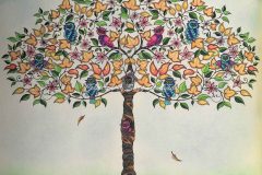 Owl Tree
