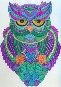 Colored Owl